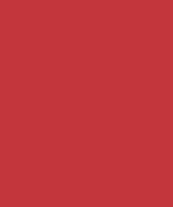 Alternative view of ONE SHOT PAINT FIRE RED 102-L