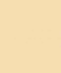 Alternative view of ONE SHOT PAINT CHAMOIS 118-L