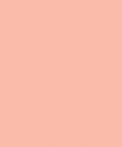 Alternative view of ONE SHOT PAINT CORAL 120-L