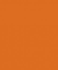 Alternative view of ONE SHOT PAINT ORANGE 124-L