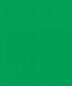 Alternative view of ONE SHOT PAINT PROCESS GREEN 143-L