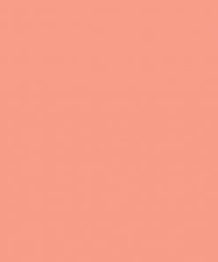 Alternative view of ONE SHOT PAINT SALMON PINK 168-L