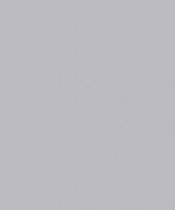 Alternative view of ONE SHOT PAINT METALLIC SILVER 193-L